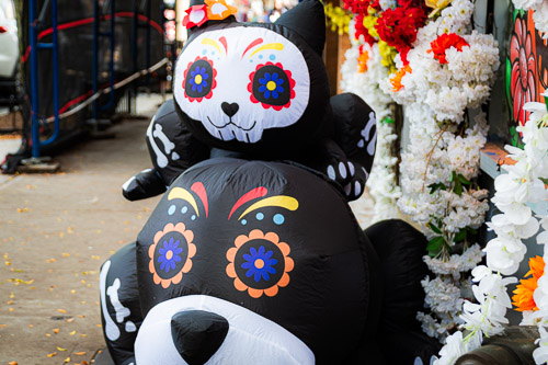 Sleepy Hollow, NY - Oct 2025